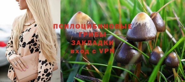 первитин Володарск