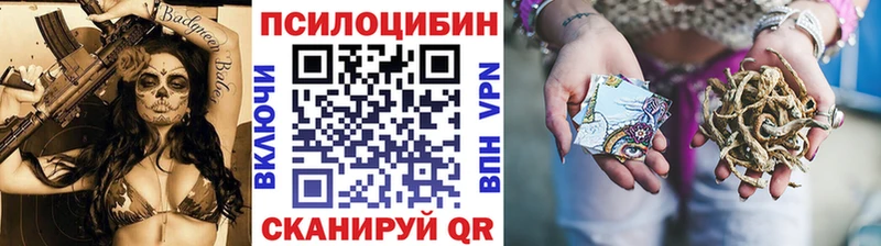 Галлюциногенные грибы Cubensis  Купить где  Пересвет 